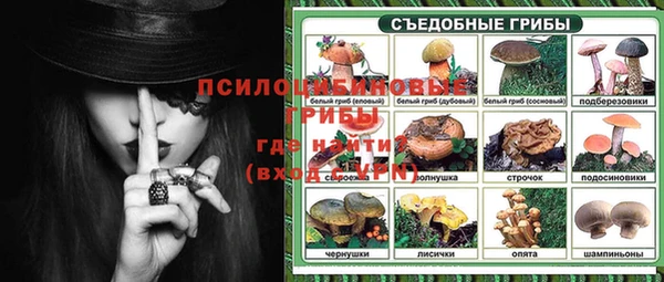 метадон Арсеньев