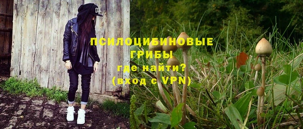 дурь Аркадак