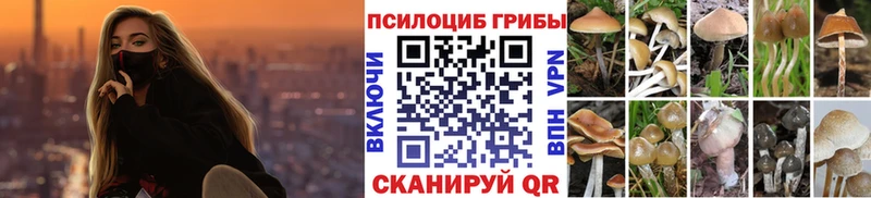 Псилоцибиновые грибы Psilocybine cubensis  Суоярви 